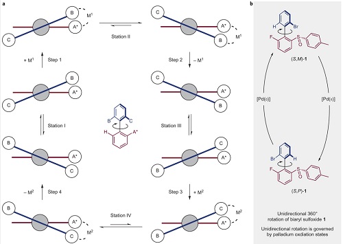 Schema van de moleculaire motor | Illustratie Nature Chemistry