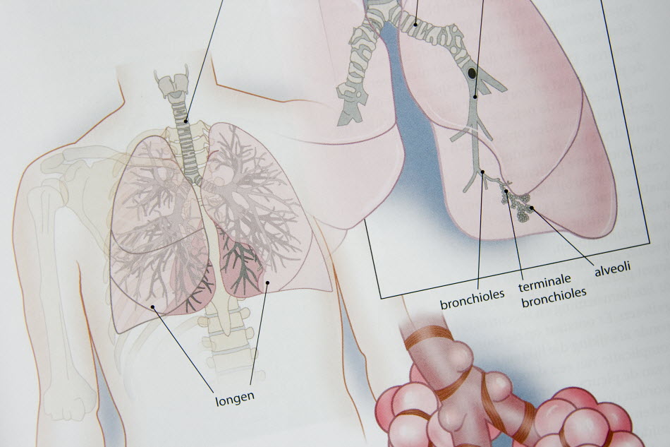 Ook ontstekingseiwit gevonden in longen ex-rokers