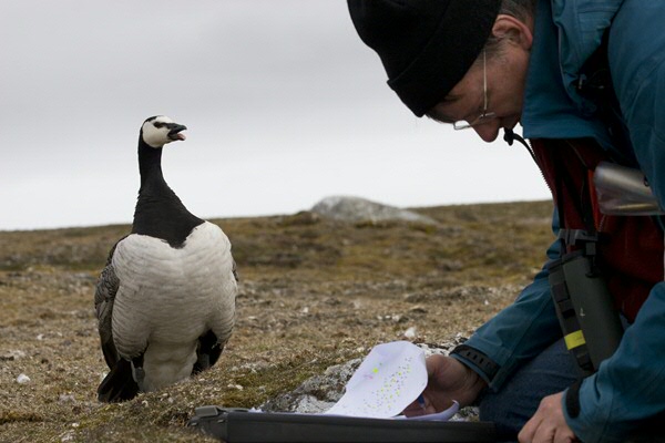 Loonen busy with research (photo Elise Biersma)