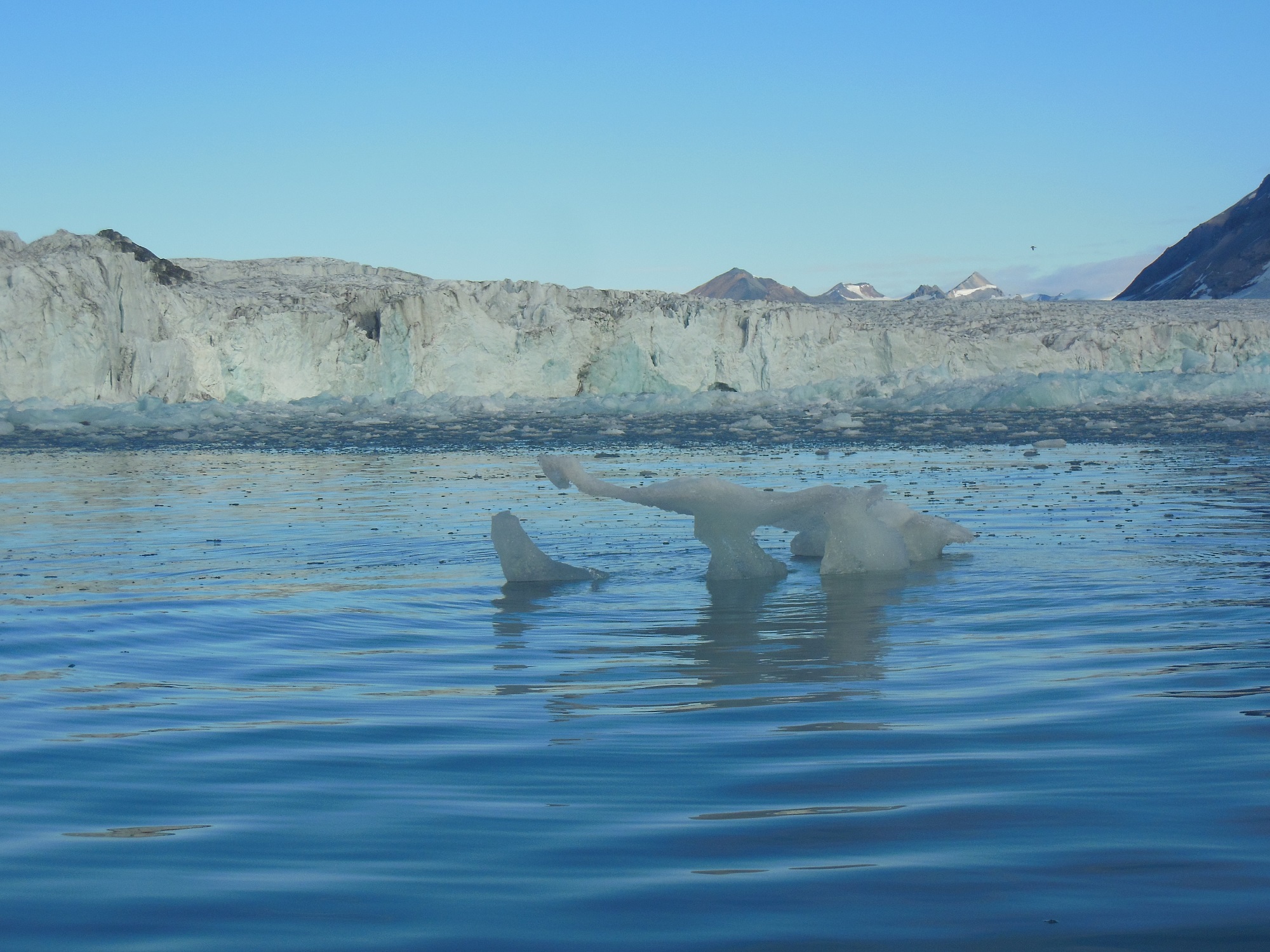 Zee-ijs bij Spitsbergen.
