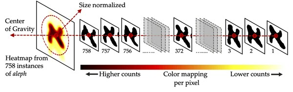 Een illustratie hoe heatmaps van genormaliseerde, gemiddelde lettervormen zijn gegenereerd, in dit geval voor de letter aleph. Credit: Maruf A. Dhali, University of Groningen.