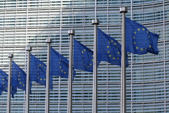 row of European flags