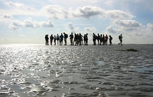 Mudwalking in the Wadden Sea