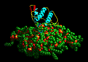 Phospholipase A2 ready to attack the cell membrane. Pieter Meulenhoff 