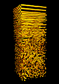 Time evolution of phase separation of a Pluronic 64 and water mixture. Time passes in the vertical direction. Frans van Hoesel & Bernard van Vlimmeren 