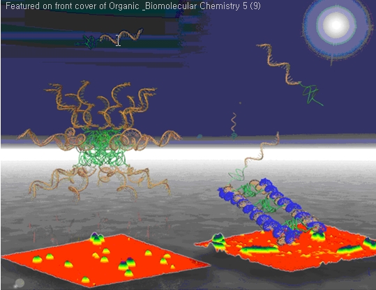 Artwork of two type of micelles engineered by different ssDNAs