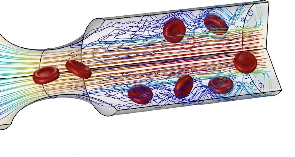 Science in Focus