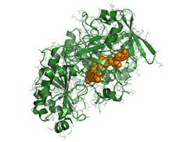 Structuur van een van de enzymen die worden bestudeerd in het DECADES Doctoral Network