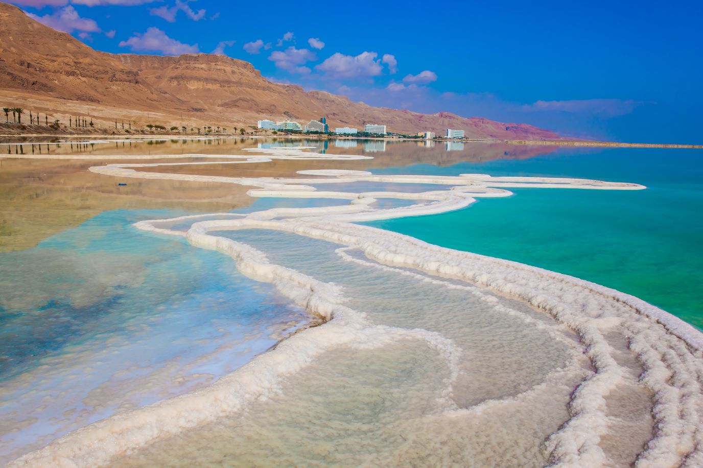 Vidi-beurs Tessa Quax: de Dode Zee, een plek waar archaea kunnen overlevenVidi grant Tessa Quax: the Dead Sea, a place where archaea can survive