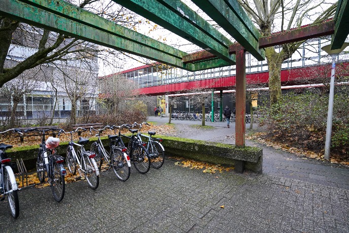 Bicycle parking spaces at the back of the building