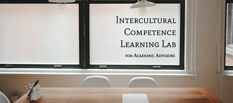 Intercultural Competence Learning Lab (ICLL)