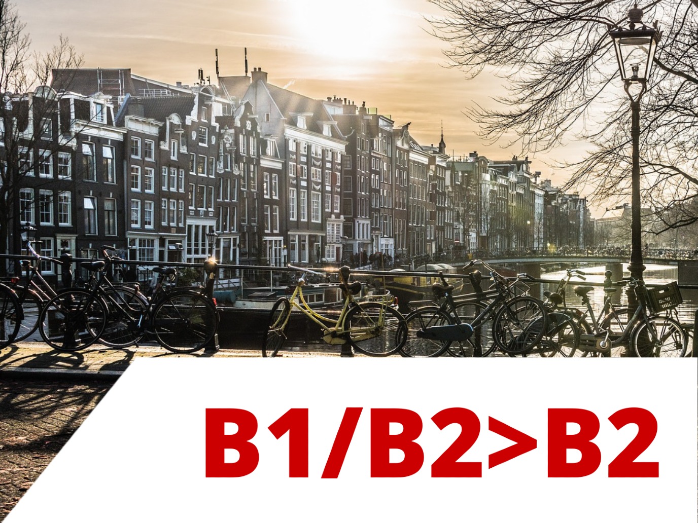 Nederlands B1/B2>B1