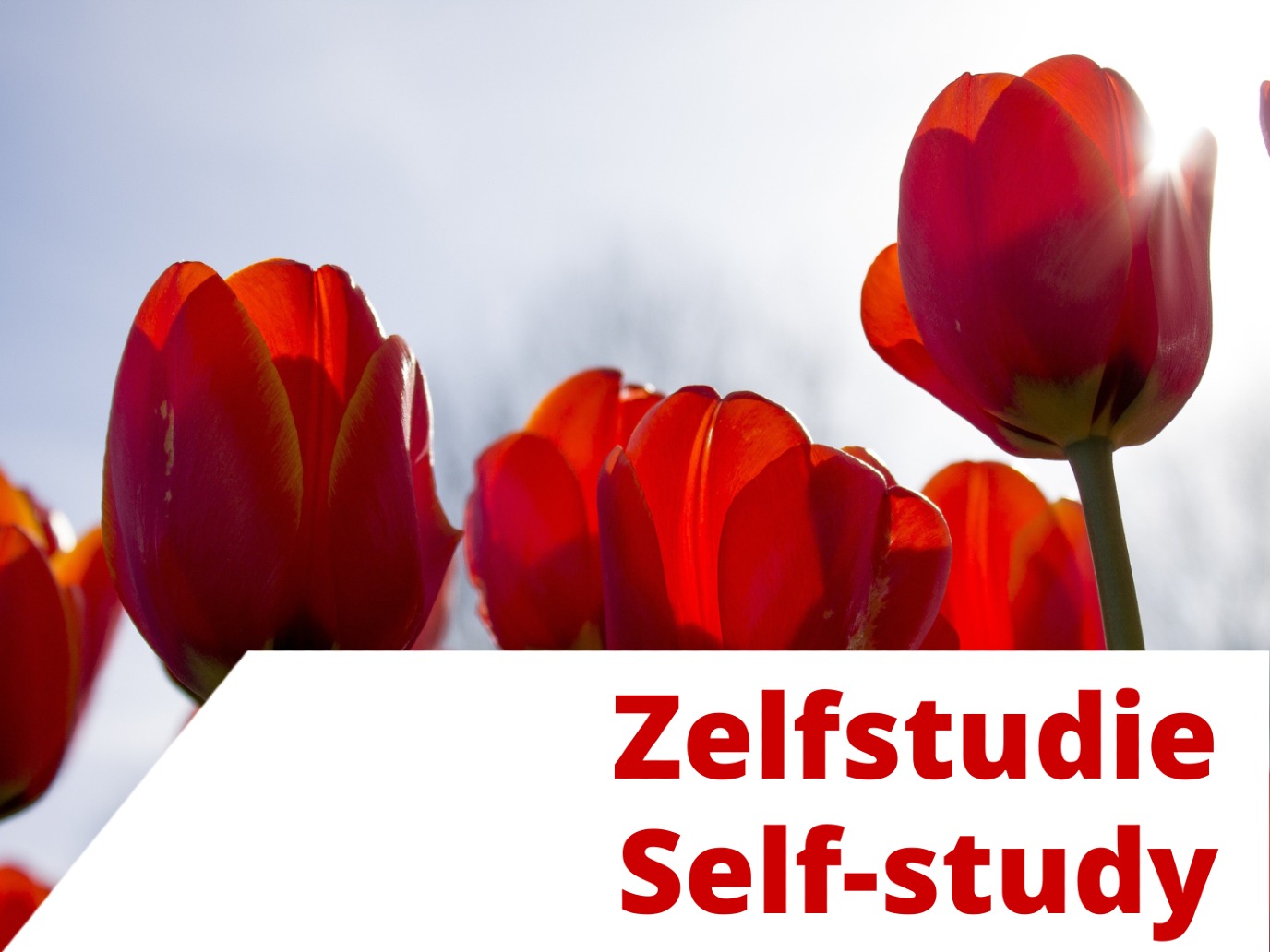 Self-study with online sessions