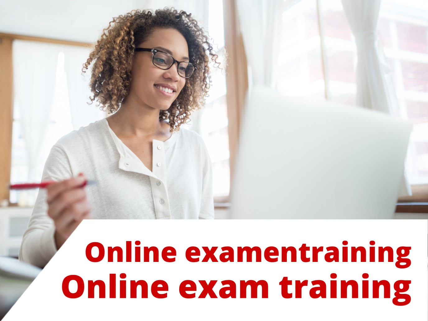 Online examentraining: Staatexamen NT2-II