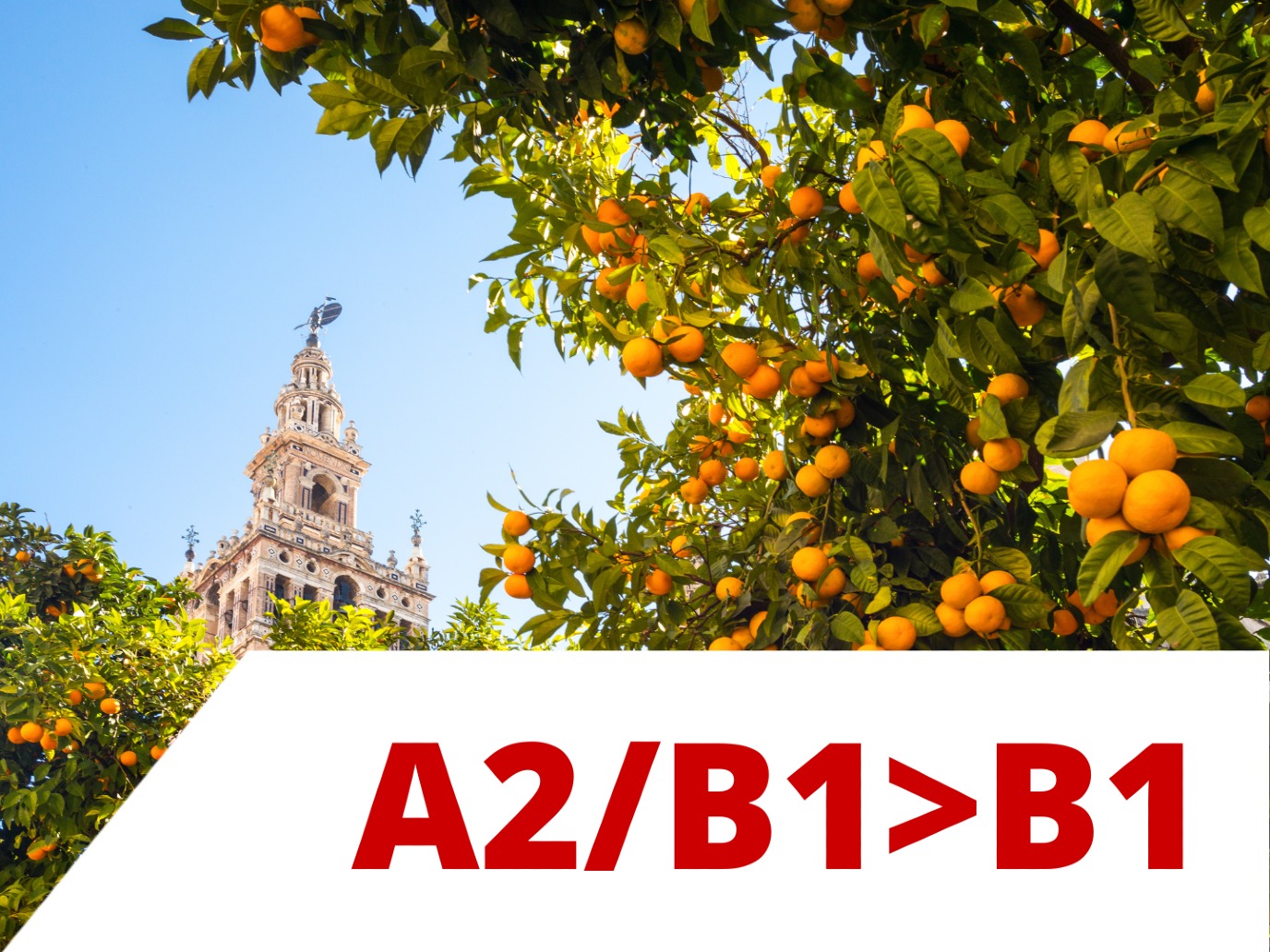 Spanish A2/B1>B1