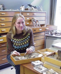 Archaeozoology Laboratory
