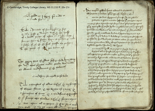 Manuscript met notitie over het vrijmaken van Fairmead park voor King Henry VIII