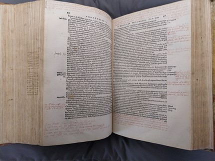 Luther en Praedinius schreven annotaties in een verschillende stijl