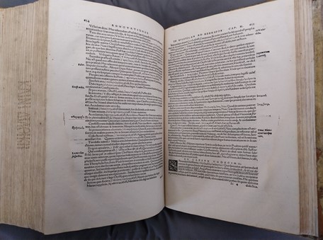 een inktvlek op een pagina uit In Novum Testamentum Annotationes