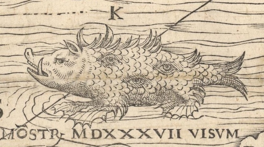 Image 8: Sea-pig on the Carta Marina