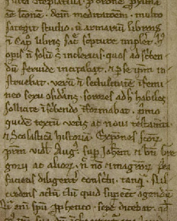 The Wittewierum Chronicle