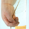 Anatomical preparation of a child's arm, collection of Pieter de Riemer