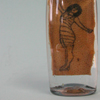 Anatomical preparation of tattooed skin