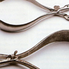 Forceps