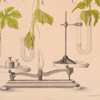Onderwijsplaat met een afbeelding van een proefopstelling waarmee met behulp van een weegschaal de mate van transpiratie bij verschillende soorten en afmetingen planten kan worden gemeten, 1897