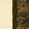 Example of the Pinus Abies, part of a xylotheque, ca. 1810