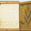 Example of the Salix Pupurea, part of a xylotheque, ca. 1810