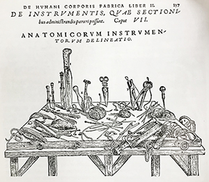 anatomisch instrumentarium