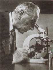 Frits Zernike (1888-1966)