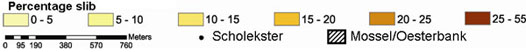 Het percentage slib is hoog in de banken en tot honderden meters daarbuiten. De scholeksters zoeken vooral in deze slibrijke gebieden voedsel.