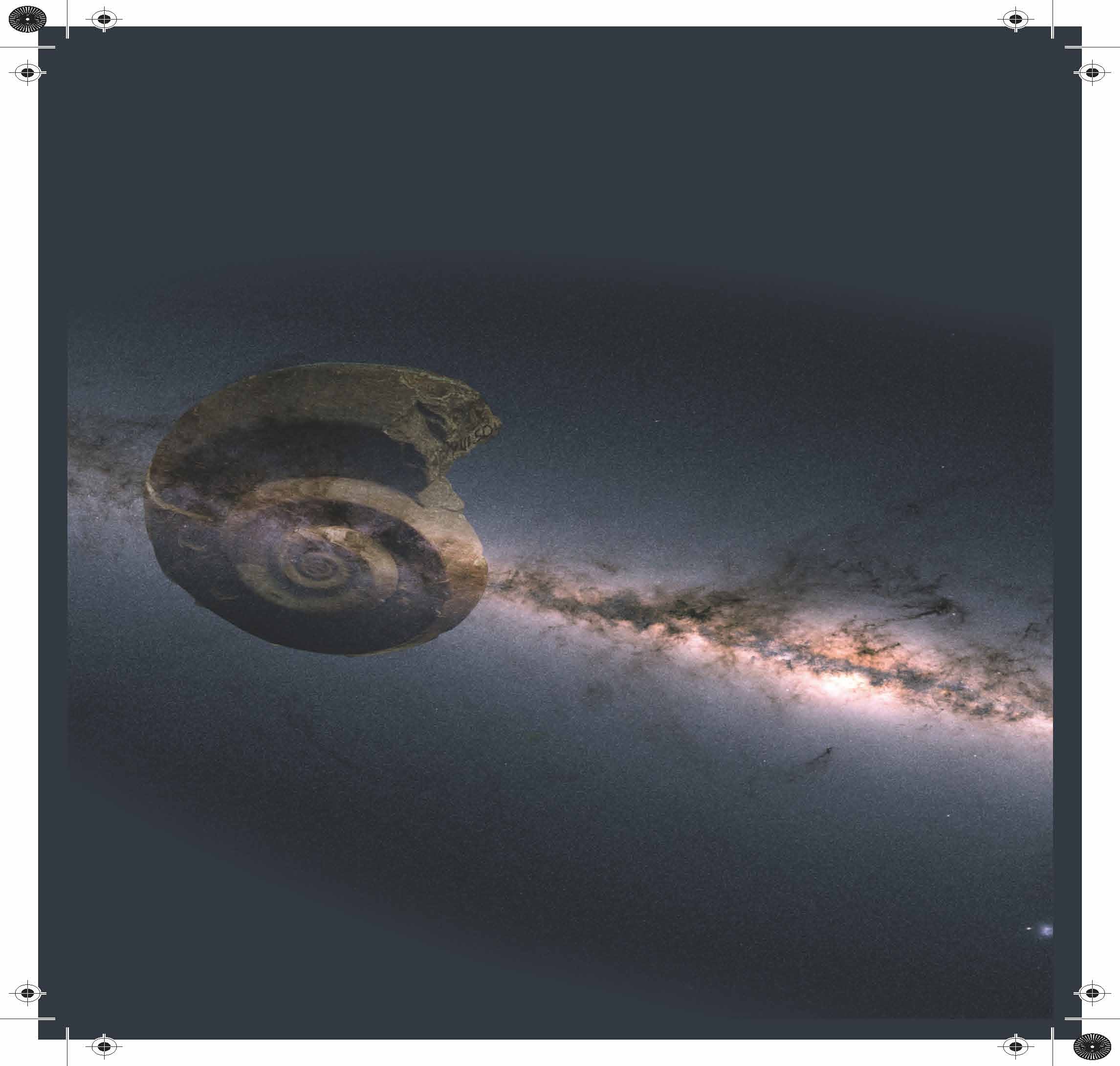 Artistic impression of the snail-like structure discovered by the team superimposed on a colour map of the Milky Way recently published by the Gaia collaboration (April 2018). The snail shell appears when combining the position and velocities of stars near the Sun. Its characteristics depend on what caused it and hence it can be used to do galactic archeology: we can trace the origin of the snail shell to an encounter the Milky Way experienced in the recent past. (c): Surinye Olarte, ICCUB. Gaia sky in colours: ESA/Gaia/DPAC, A.Moitinho / A. F. Silva / M. Barros / C. Barata, University of Lisbon, Portugal; H. Savietto, Fork Research, Portugal.Artistic impression of the snail-like structure discovered by the team superimposed on a colour map of the Milky Way recently published by the Gaia collaboration (April 2018). The snail shell appears when combining the position and velocities of stars near the Sun. Its characteristics depend on what caused it and hence it can be used to do galactic archeology: we can trace the origin of the snail shell to an encounter the Milky Way experienced in the recent past. (c): Surinye Olarte, ICCUB. Gaia sky in colours: ESA/Gaia/DPAC, A.Moitinho / A. F. Silva / M. Barros / C. Barata, University of Lisbon, Portugal; H. Savietto, Fork Research, Portugal.