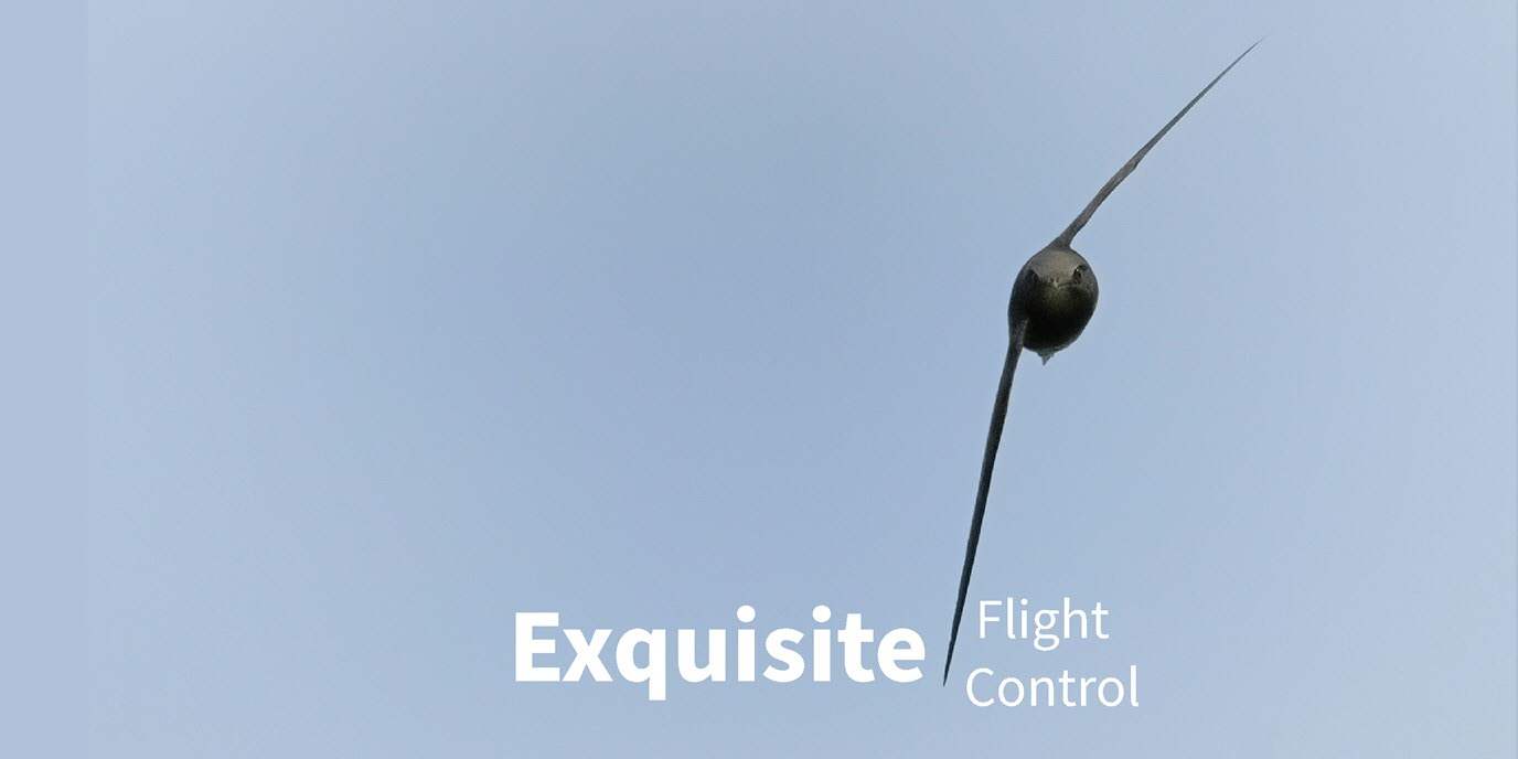 exquisite | flight control
