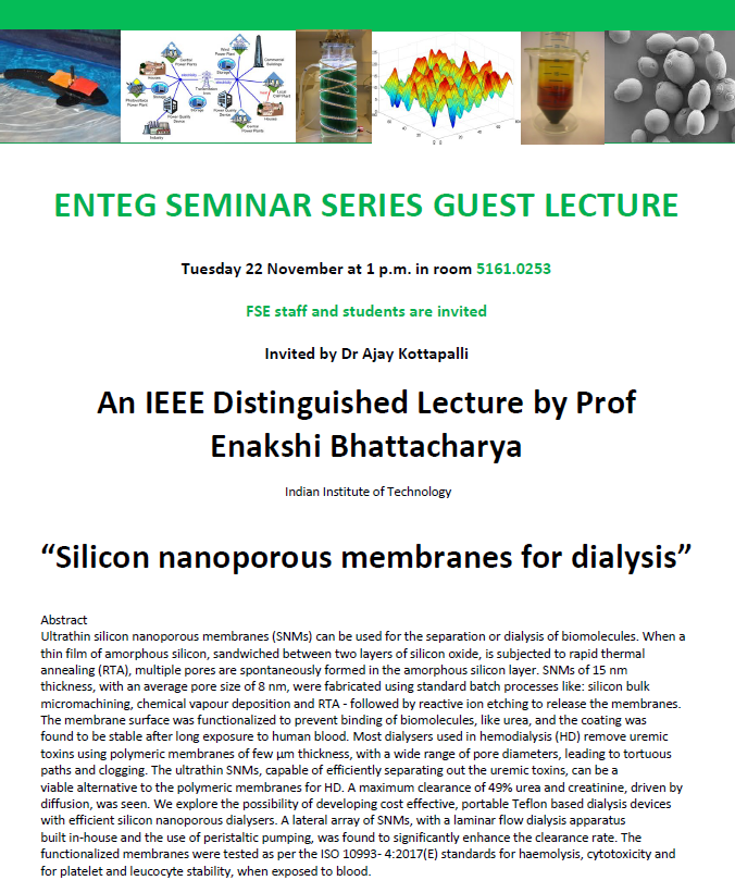 Invitation flyer for the lecture of Prof. Enakshi Bhattacharya