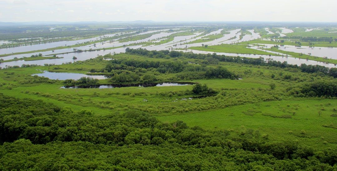 Wetland in the Sanjiang Plain, an inland river delta of China (by Asian Development Bank, ADB)