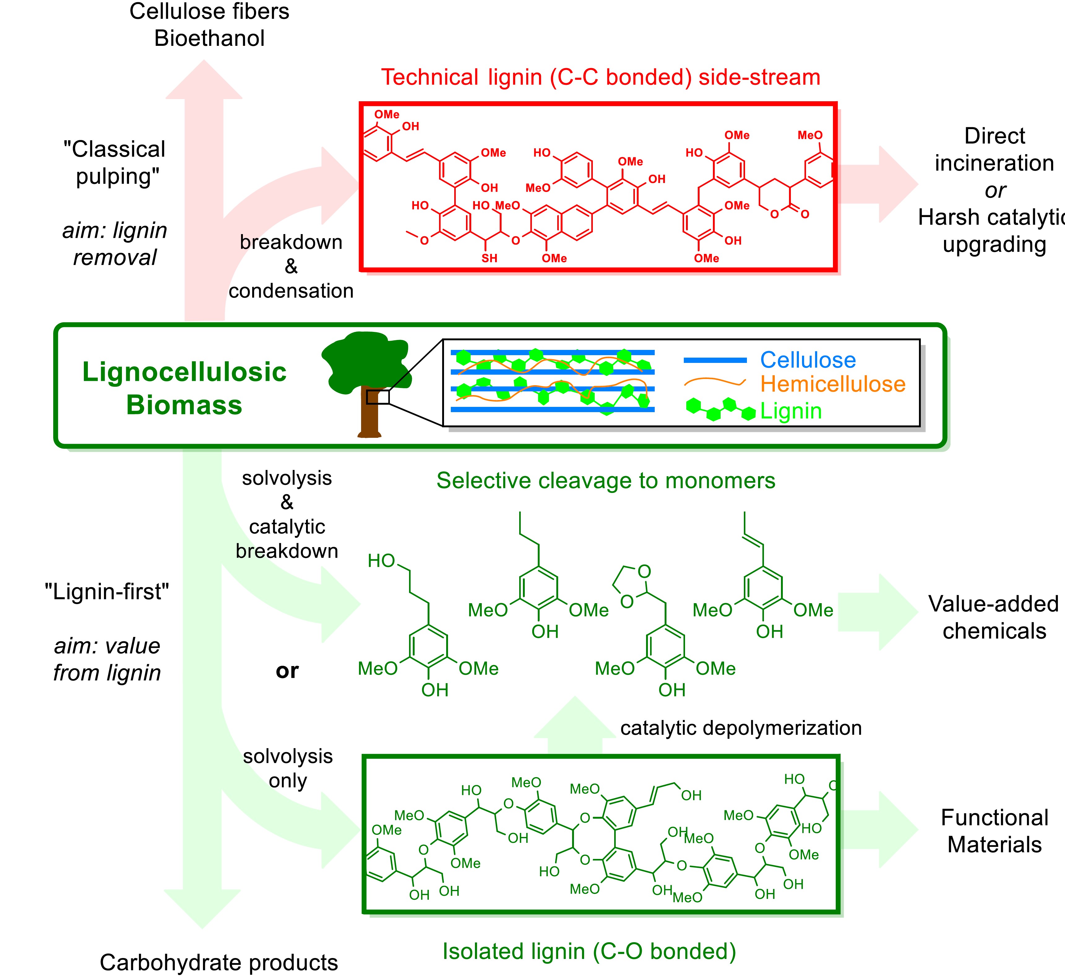 Reprinted from Chem Catal (https://www.sciencedirect.com/journal/chem-catalysis) , 1, P.J.Deuss & C. Kugge, “Lignin-first” catalytic valorization for generating higher value from lignin, 6-11 , Copyright (2021), with permission from Elsevier.