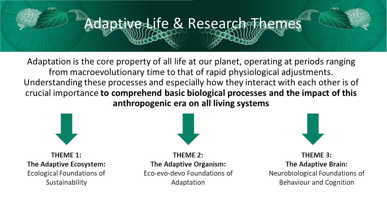 AL & research themes