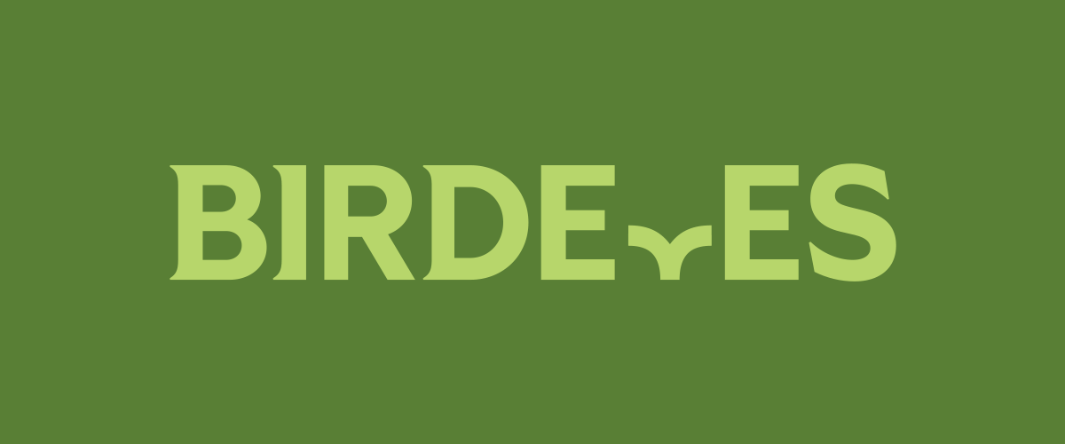 BirdEyes logo
