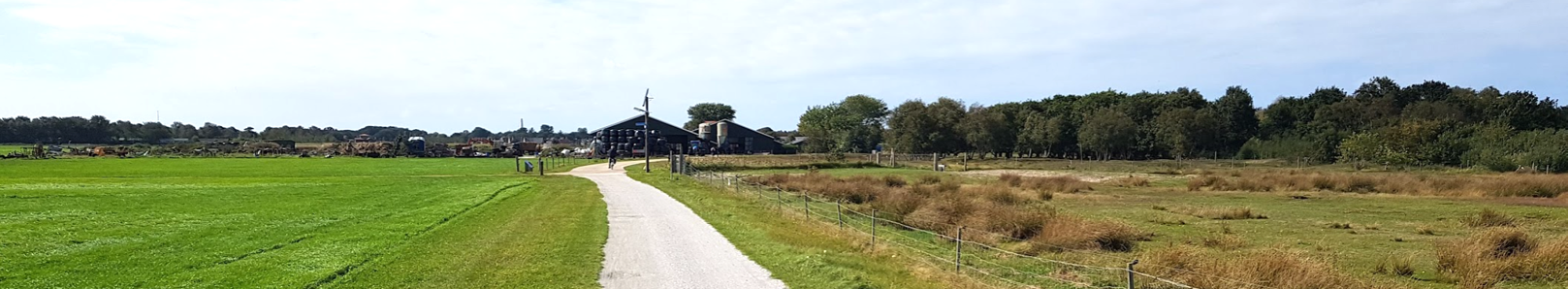 Dutch farm landscape