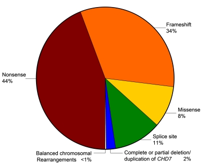 Distribution of pathogenic mutation types in the CHD7 gene
