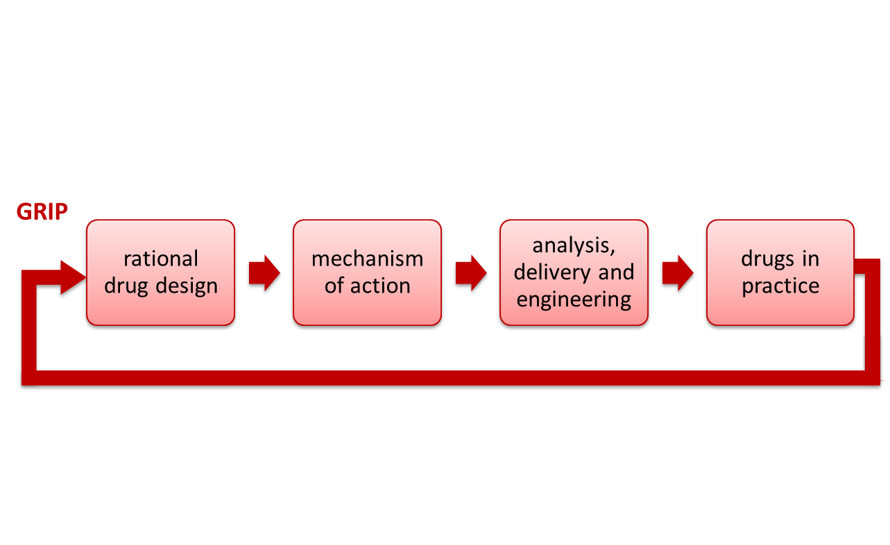 Drug development process: rational drug design, mechanism of action, analysis, delivery and engineering, and drugs in practice