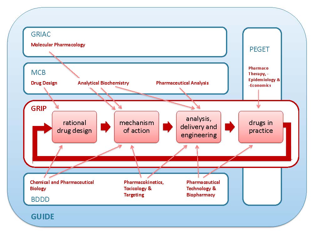 The coherence of GRIP, research units and collaboration in research programs. GRIP research groups are organized around distinct parts of the drug research and development process. In this scheme the orientation around the drug development cycle and the participation in UMCG institutes and programs is depicted.
