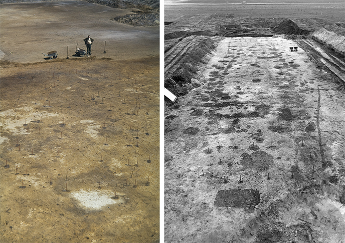 Left: A single house plan (no. 18) of the Hijken-Hijkerveld excavation (1968-1974). The dark brown discolorations in the ground (postholes) indicate where the posts of the wooden construction of this house were previously placed in the ground. By marking the postholes with picket posts it is easier to understand what the wooden construction must have looked like. Right: Several overlapping house plans of the Gasselte excavation (1975-1977). Because the house plans overlap, it is not immediately clear which postholes in the cluster of postholes belong to which individual house plan. To distinguish the individual houses must first be puzzled. Good knowledge of house building traditions helps with this.