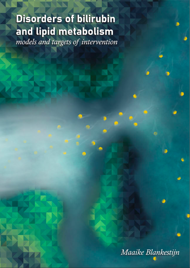 Thesis repository image