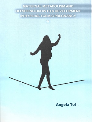 Cover Thesis Angela Tol