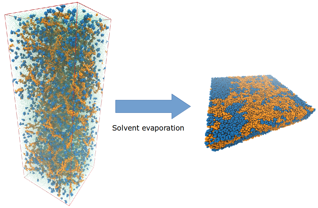 In solvent evaporation simulations, a dried blend (right-hand side of the Figure) of a polymer (orange) and a fullerene (blue) is obtained after the solvent has been slowly taken out from a starting solution (left-hand side) where polymer and fullerene molecules are dissolved in a solvent (choloroform in this case, represented with smaller green particles).