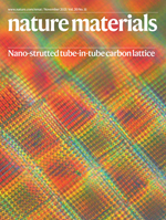 Nature Materials Cover